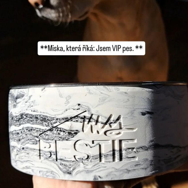 Všechny jedinečnosti najdeš na www.mybestie.cz ✨✨✨✨ #jesmonit #bytovedekorace #rucnivyroba #domahezky #interierovydesign...